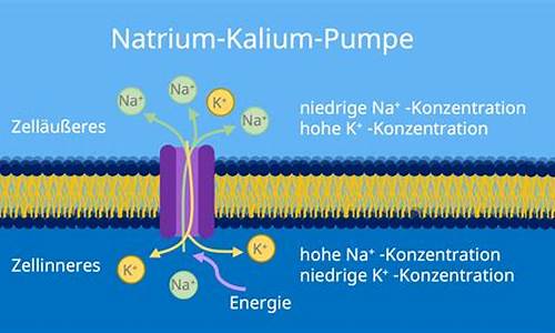 biomembrane_biomembrane翻译